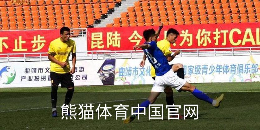 了解熊猫体育中国官网